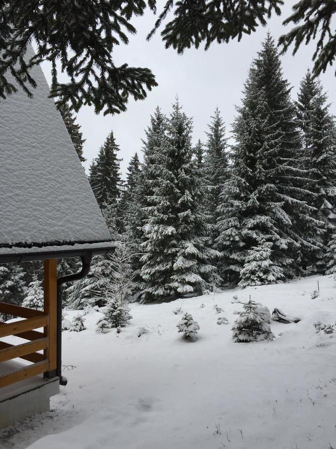 Вілла Zlatair Chalets Нова-Варош Екстер'єр фото